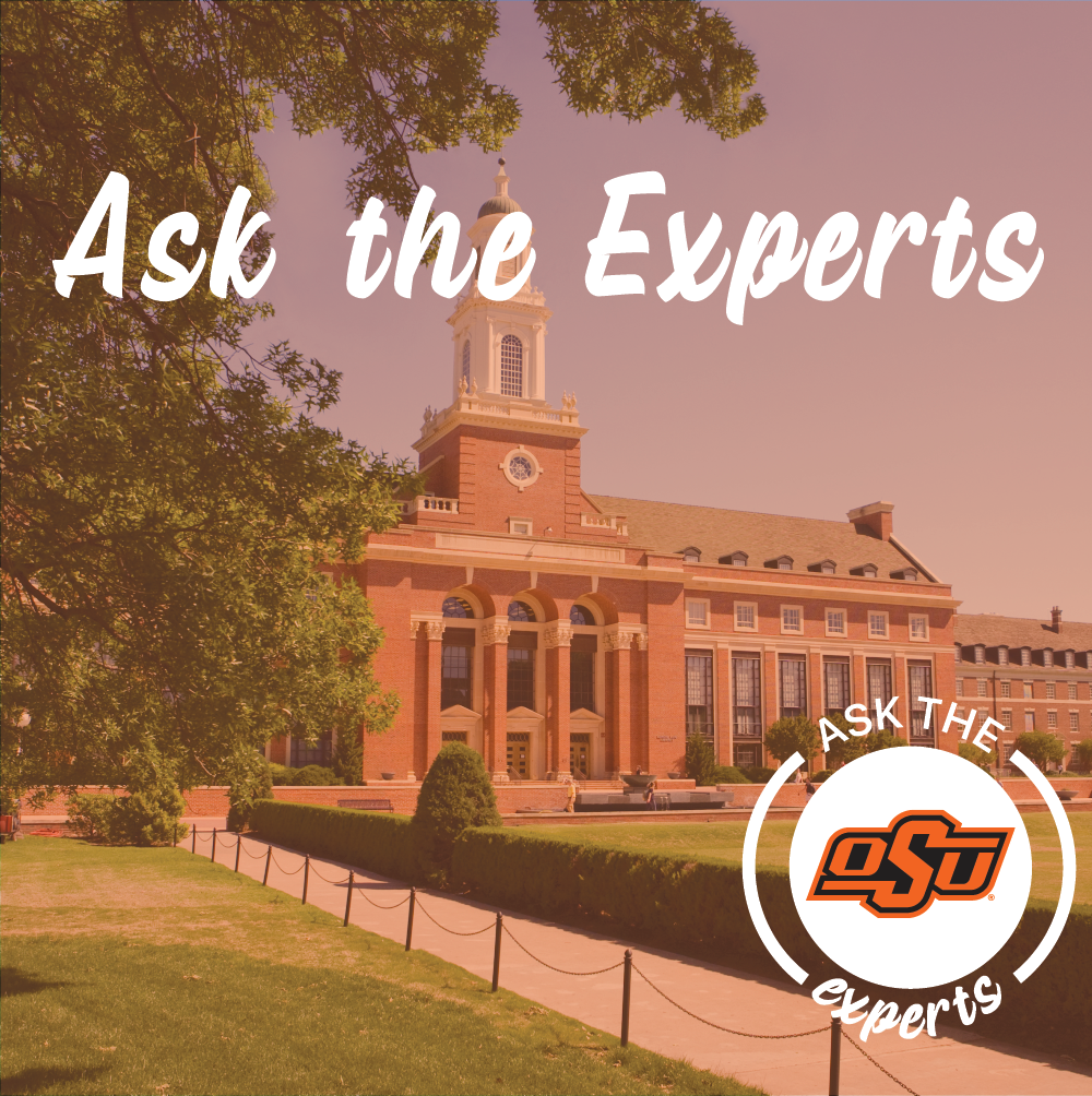 Ask the experts