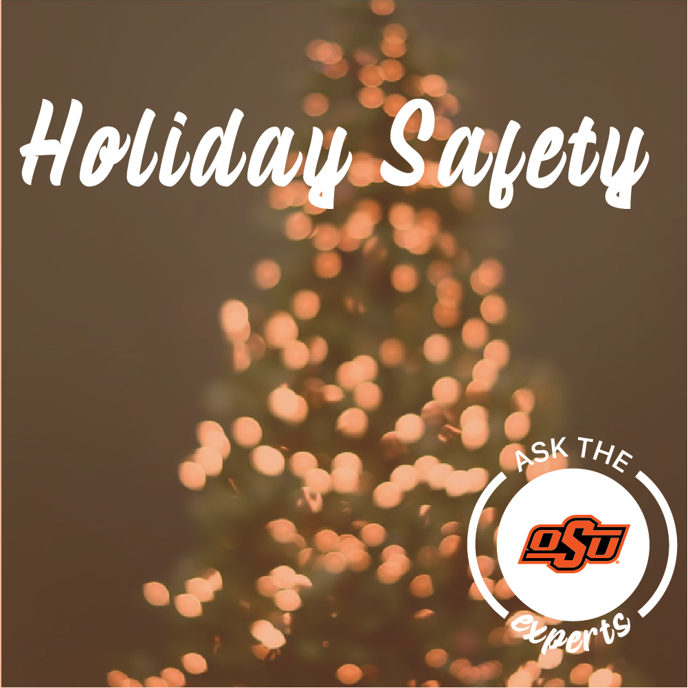 holiday safety