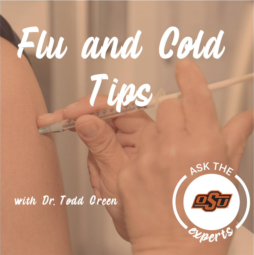 flu and cold tips