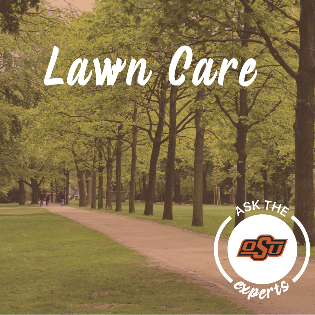 lawn care