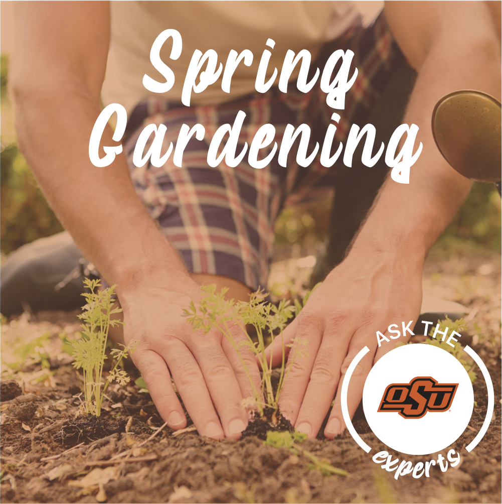 spring gardening