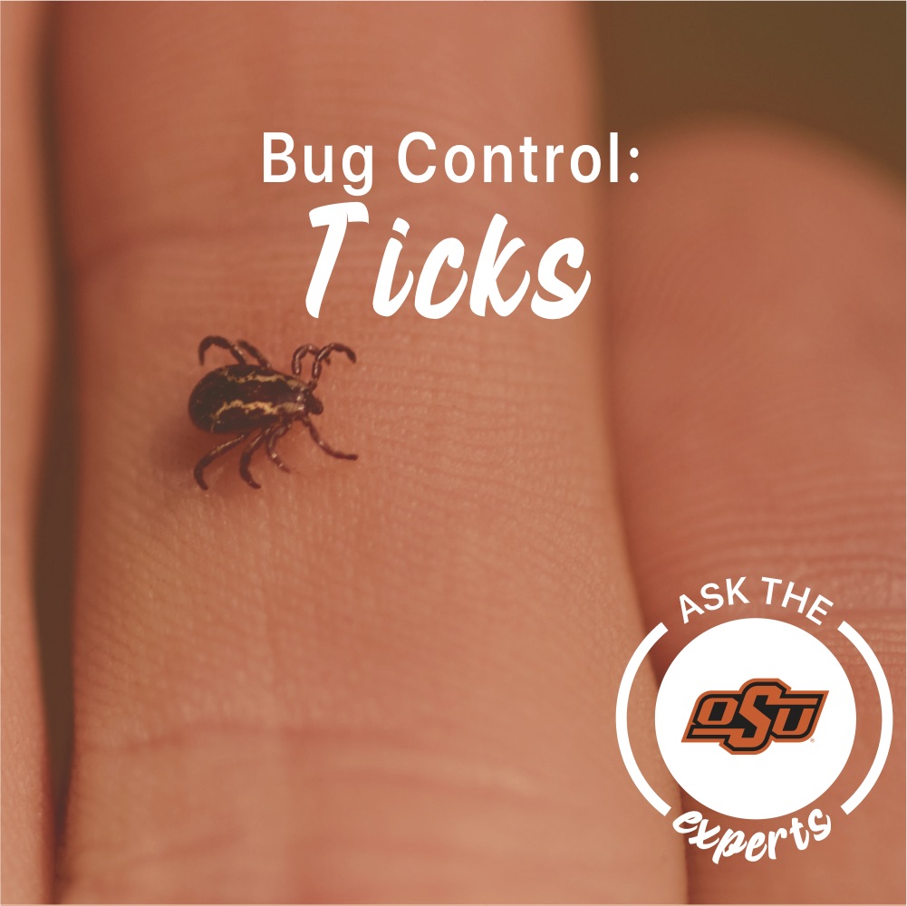 Bug control- ticks