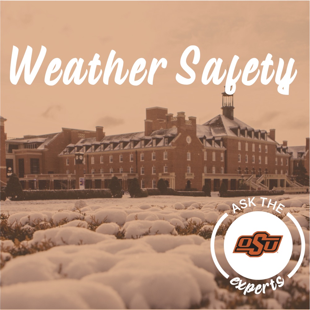 weather safety
