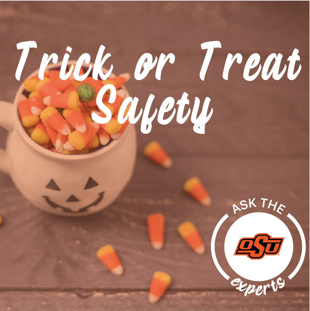 trick or treat safety